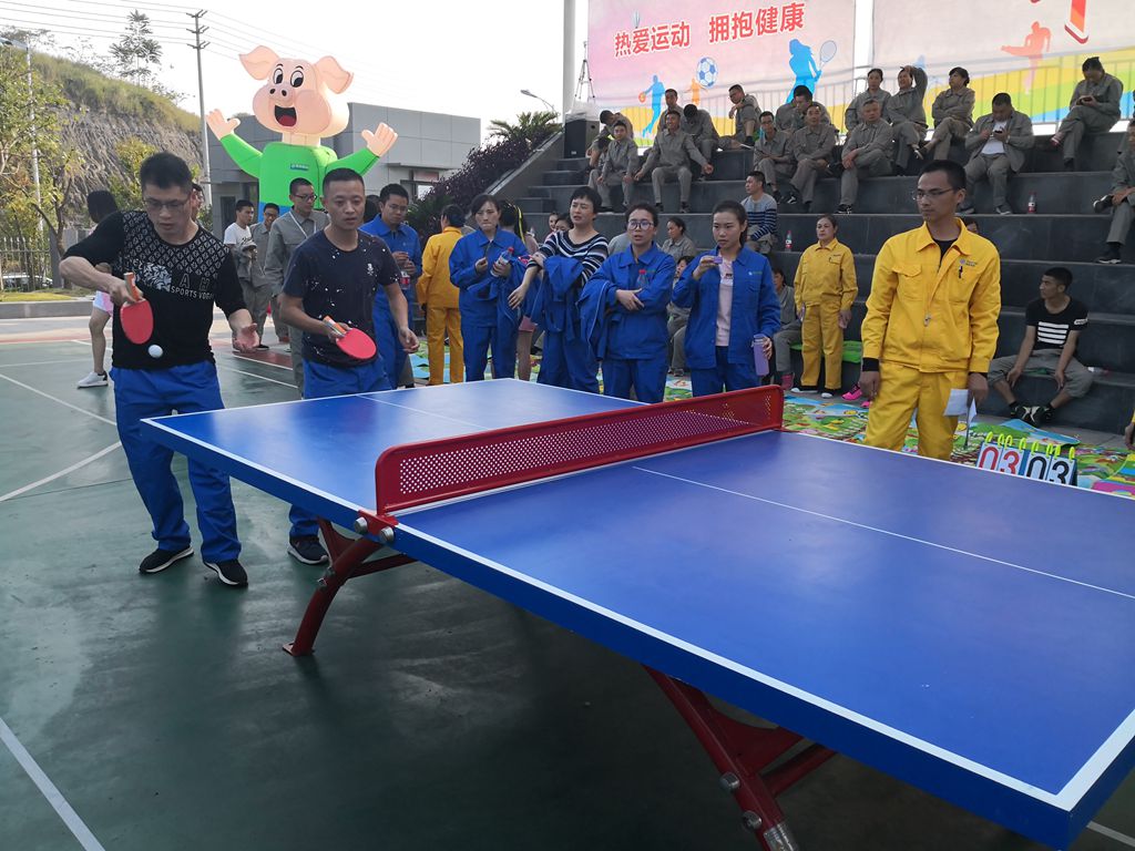 乒乓球_副本.jpg